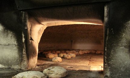 Pane fresco o pane caldo?