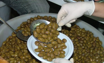 Torna la "Sagra de la Volìa Cazzata"