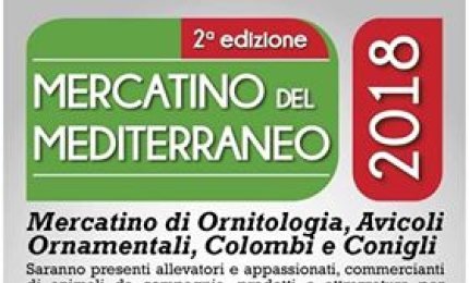 Galline, galli, colombi, uccelli in mostra