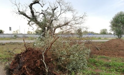 Pericolo a Collemeto, una tromba d'aria sfiora l'abitato