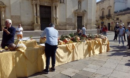Come sostenere la squadra di Galatina a "Mezzogiorno in famiglia"