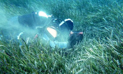 L'anidride carbonica in atmosfera farà cambiare le spiagge