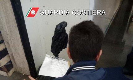 Molluschi di origine sconosciuta, multa ad una pescheria