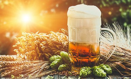 La birra artigianale ed agricola spopola in Puglia