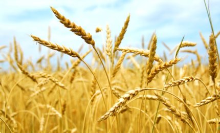 “Le nuove frontiere in nutrizione e medicina integrata”