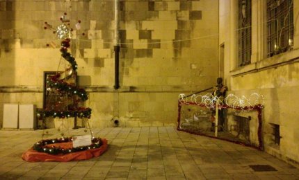 Il nostro "Albero della Pace"