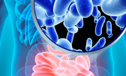 C'è un rapporto diretto tra fibrosi cistica e alterazione del microbiota intestinale