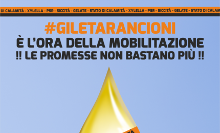 Anci Puglia con i Sindaci a sostegno degli agricoltori