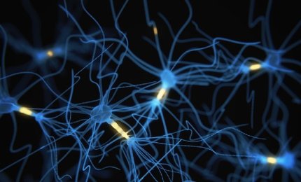 Comunicazione neuronale, pronte le sinapsi artificiali