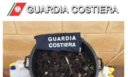 Quattromila euro di multa a pescatore in apnea per aver raccolto 350 ricci