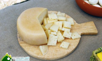 A Lecce il 'Pecorino Day'