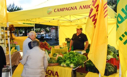 Polpette a km zero nel Mercato di “Campagna Amica” 