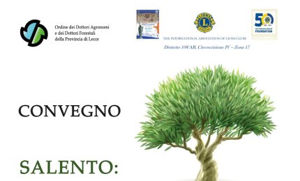 “Salento, il dopo xylella, olivo e territorio, come ripartire”