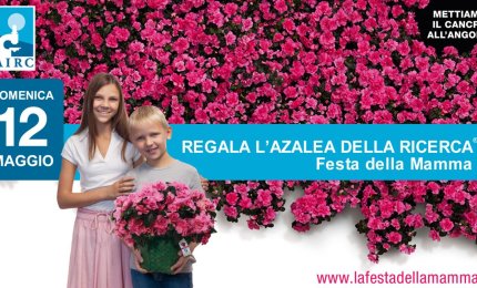 Domenica in piazza San Pietro l'azalea della ricerca contro il cancro