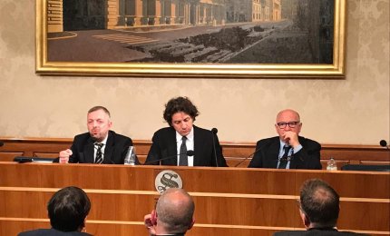 "Il contrasto alla Xylella fastidiosa si fa con i metodi della scienza"