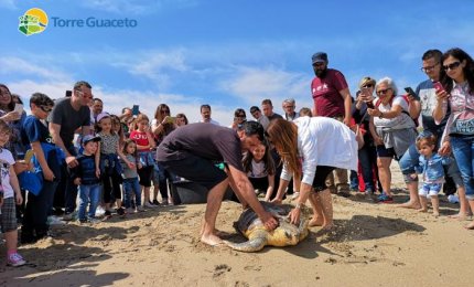 La bella storia della tartaruga Giorgia salvata da una bimba di otto anni