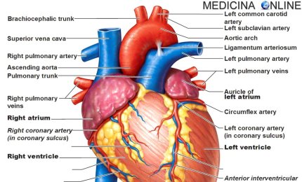  “Prevenzione ti migliora la vita”. Consulenze cardiologiche gratuite in piazza Sant’Oronzo