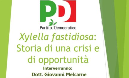 "Chiarezza sulla xylella"