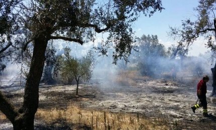 "Il fuoco è un’offesa per la terra e un pericolo per la salute della città"