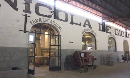 “Armonie per la salute a Scuola”