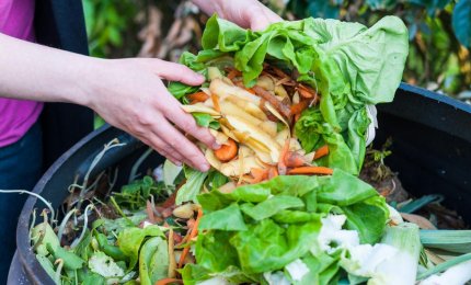 In Puglia si buttano 310mila tonnellate all’anno di cibo