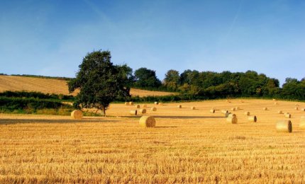Carburanti da residui agricoli e forestali con l'aiuto del sole