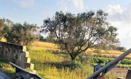 "Il Codice della strada? Uno sconosciuto sulla provinciale Galatina-Copertino"