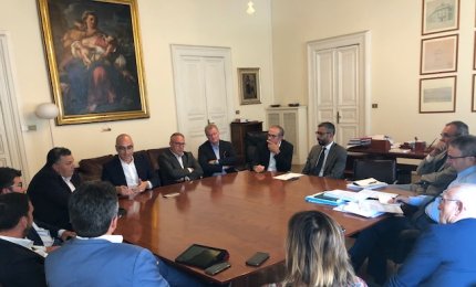 Xylella, 251 frantoi da salvare