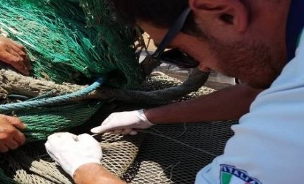 Sequestrate reti a strascico ed un quintale di pesce a bordo di tre pescherecci