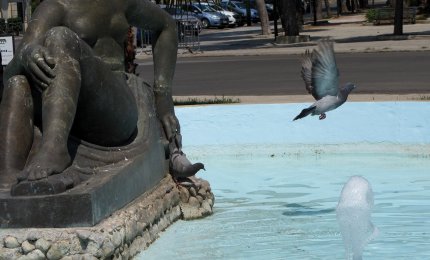 "Intorno alla vasca che protegge “la Pupa” ci si può sedere o no?"