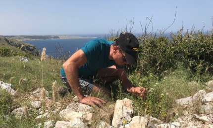 “Erbe da bere” il 15 agosto alla Palascia