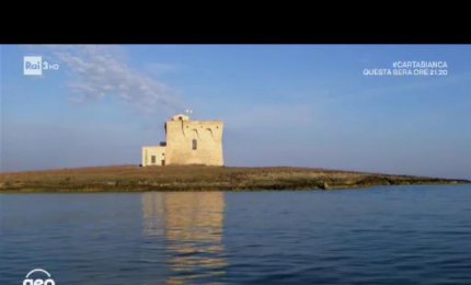 Torre Guaceto, venticinque minuti di pura bellezza