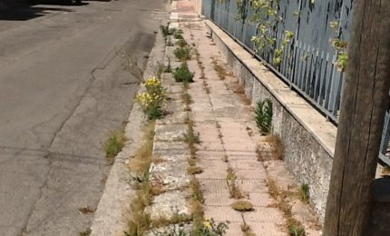 La tradizione dell'erba alta lungo i marciapiedi