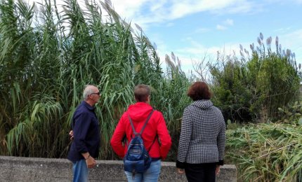 Canale dell'Asso, un sopralluogo per prevenire le esondazioni