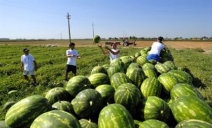 L'amministrazione neretina non apre lo sportello (finanziato) per gli immigrati