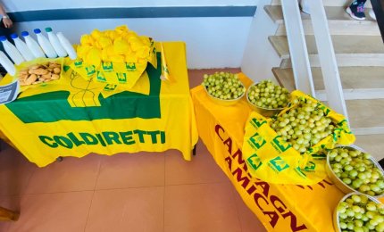 La merenda perfetta è a km 0