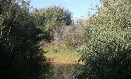 Ventiquattro comuni per un polmone verde salentino