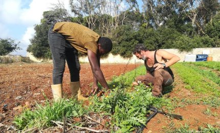 Giovani utenti psichiatrici e famiglie migranti coinvolti in un innovativo progetto di bioagricoltura