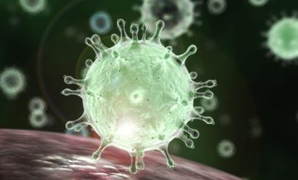 Corona virus, Circolare del Ministero dell'Istruzione indirizzata a tutte le scuole