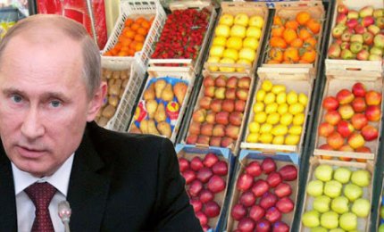 Gravi i danni all'agroalimentare pugliese dovuti all'embargo della Russia