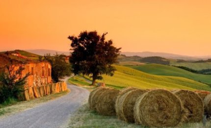Coronavirus, annullato il 20% delle prenotazioni negli agriturismi in Puglia 