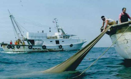 Sarà la Guardia Costiera a distribuire i fondi per sostenere le imprese di pesca