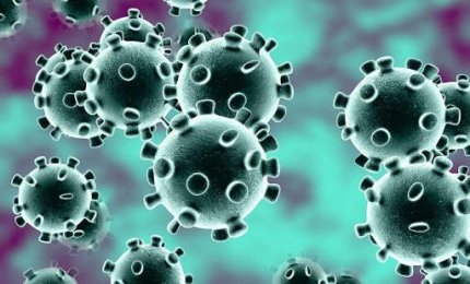 I genomi del virus Sars-Cov-2 non sono differenti dal ceppo cinese