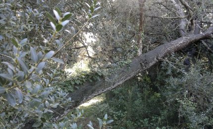 Il tempo che ci resta