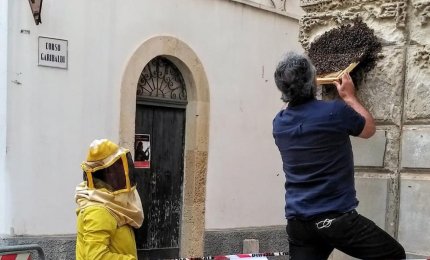 Un ronzante concerto del Primo Maggio in Piazza della Libertà a Galatina