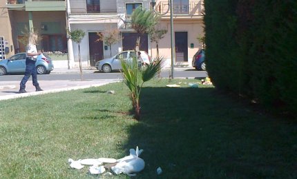 Rifiuti nella Piazzetta Fedele appena riaperta. Le registrazioni delle telecamere permetteranno di individuare i responsabili