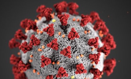 Sequenziati in Puglia due ceppi del virus SARS COV 2