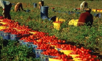 Online la procedura per favorire l'emersione di rapporti di lavoro irregolare in corso con cittadini stranieri