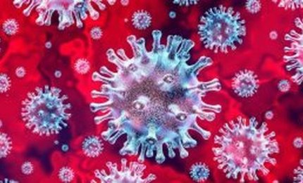 Covid-19. Puglia virus free