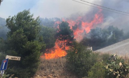 Vasto incendio a Lido Conchiglie